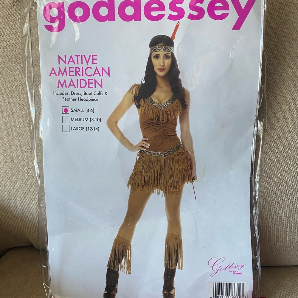 Sexy Native American costume